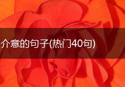 介意的句子(热门40句)