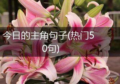 今日的主角句子(热门50句)