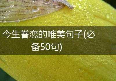 今生眷恋的唯美句子(必备50句)