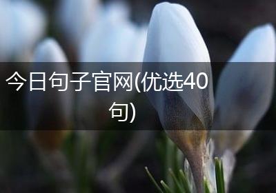 今日句子官网(优选40句)