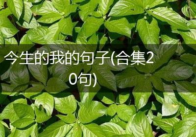 今生的我的句子(合集20句)