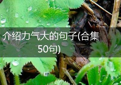 介绍力气大的句子(合集50句)