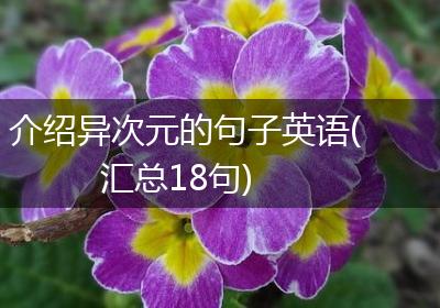 介绍异次元的句子英语(汇总18句)