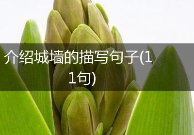 介绍城墙的描写句子(11句)
