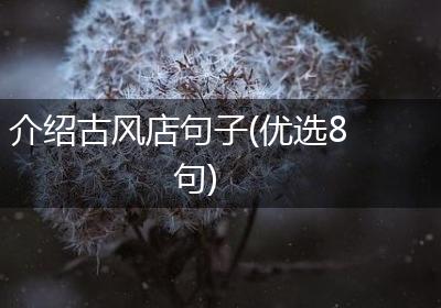 介绍古风店句子(优选8句)