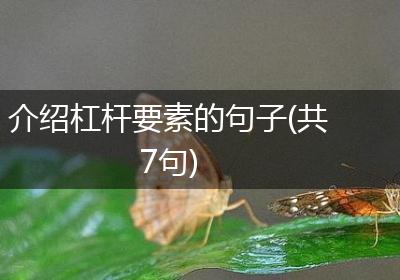 介绍杠杆要素的句子(共7句)
