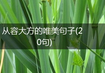 从容大方的唯美句子(20句)