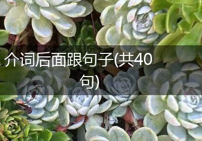 介词后面跟句子(共40句)