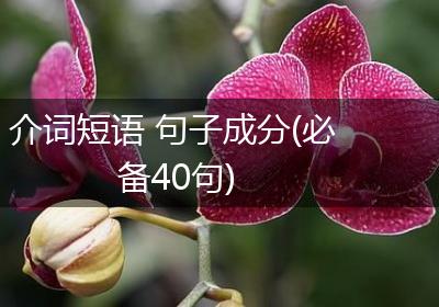 介词短语 句子成分(必备40句)