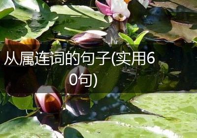 从属连词的句子(实用60句)