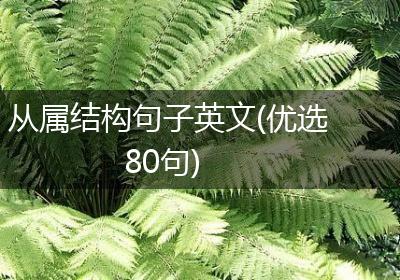 从属结构句子英文(优选80句)