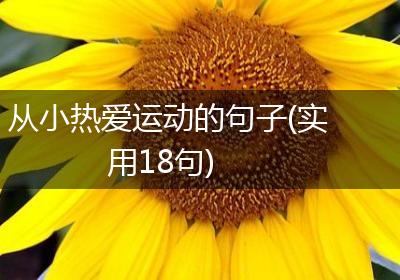 从小热爱运动的句子(实用18句)