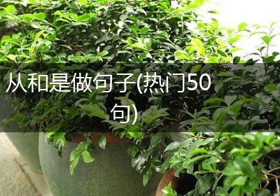 从和是做句子(热门50句)