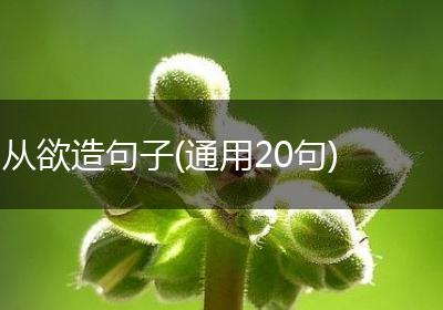 从欲造句子(通用20句)