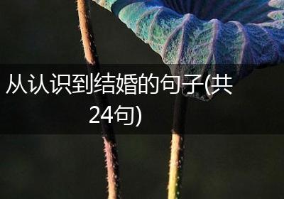 从认识到结婚的句子(共24句)