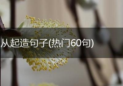 从起造句子(热门60句)