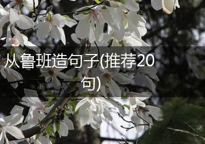 从鲁班造句子(推荐20句)
