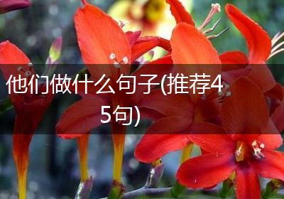 他们做什么句子(推荐45句)