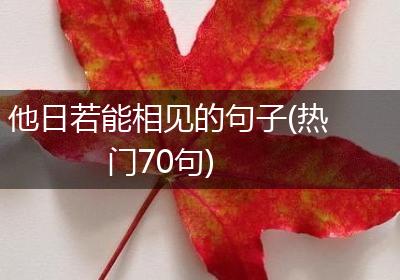 他日若能相见的句子(热门70句)