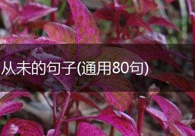 从未的句子(通用80句)