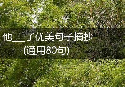 他___了优美句子摘抄(通用80句)