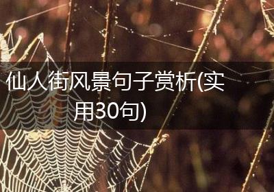 仙人街风景句子赏析(实用30句)
