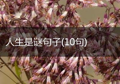 人生是谜句子(10句)