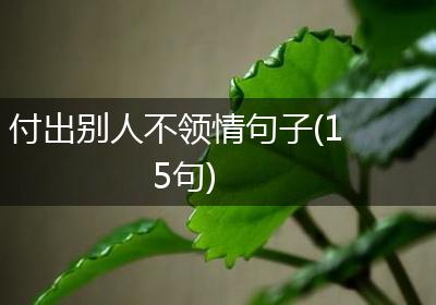 付出别人不领情句子(15句)