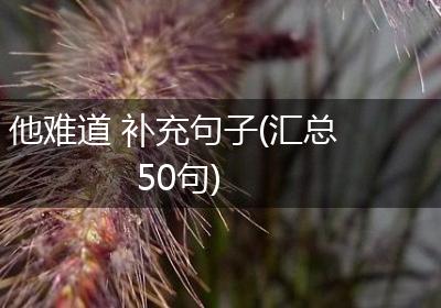 他难道 补充句子(汇总50句)