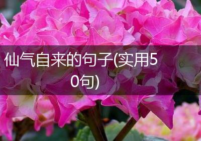 仙气自来的句子(实用50句)