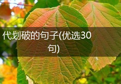 代划破的句子(优选30句)
