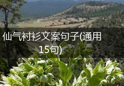 仙气衬衫文案句子(通用15句)