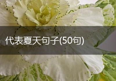 代表夏天句子(50句)