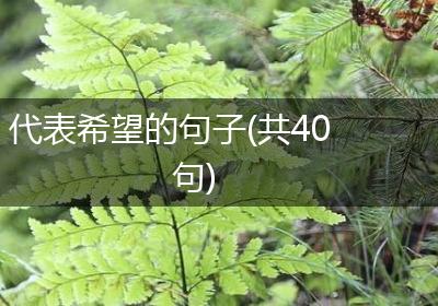 代表希望的句子(共40句)