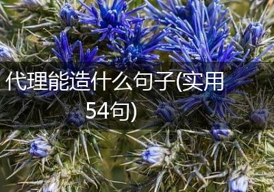 代理能造什么句子(实用54句)