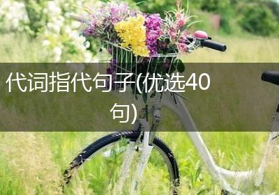 代词指代句子(优选40句)