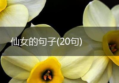 仙女的句子(20句)