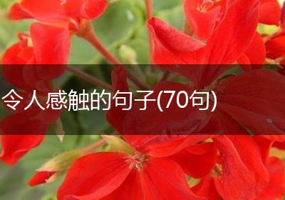 令人感触的句子(70句)