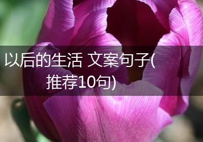 以后的生活 文案句子(推荐10句)