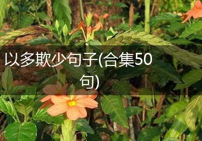 以多欺少句子(合集50句)