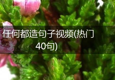 任何都造句子视频(热门40句)