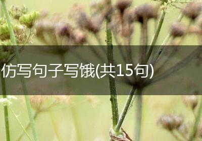 仿写句子写饿(共15句)