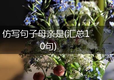仿写句子母亲是(汇总10句)