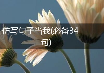 仿写句子当我(必备34句)