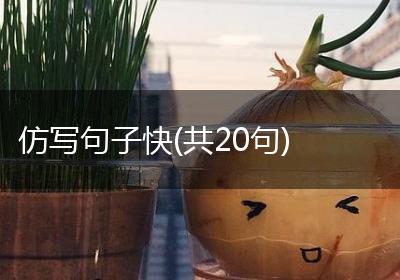 仿写句子快(共20句)