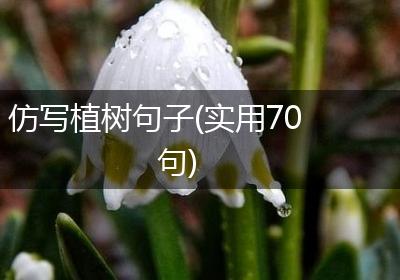 仿写植树句子(实用70句)