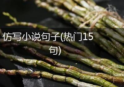 仿写小说句子(热门15句)
