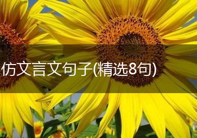 仿文言文句子(精选8句)