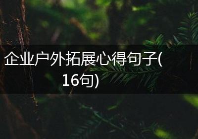 企业户外拓展心得句子(16句)