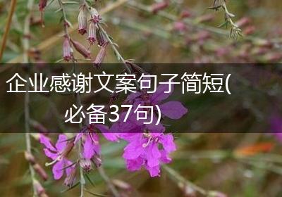 企业感谢文案句子简短(必备37句)